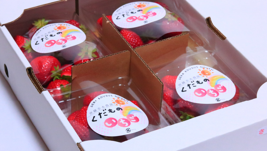 いちご1箱4パック入り(1箱あたり約kg:1パックあたり約270g) 贈答・自宅用