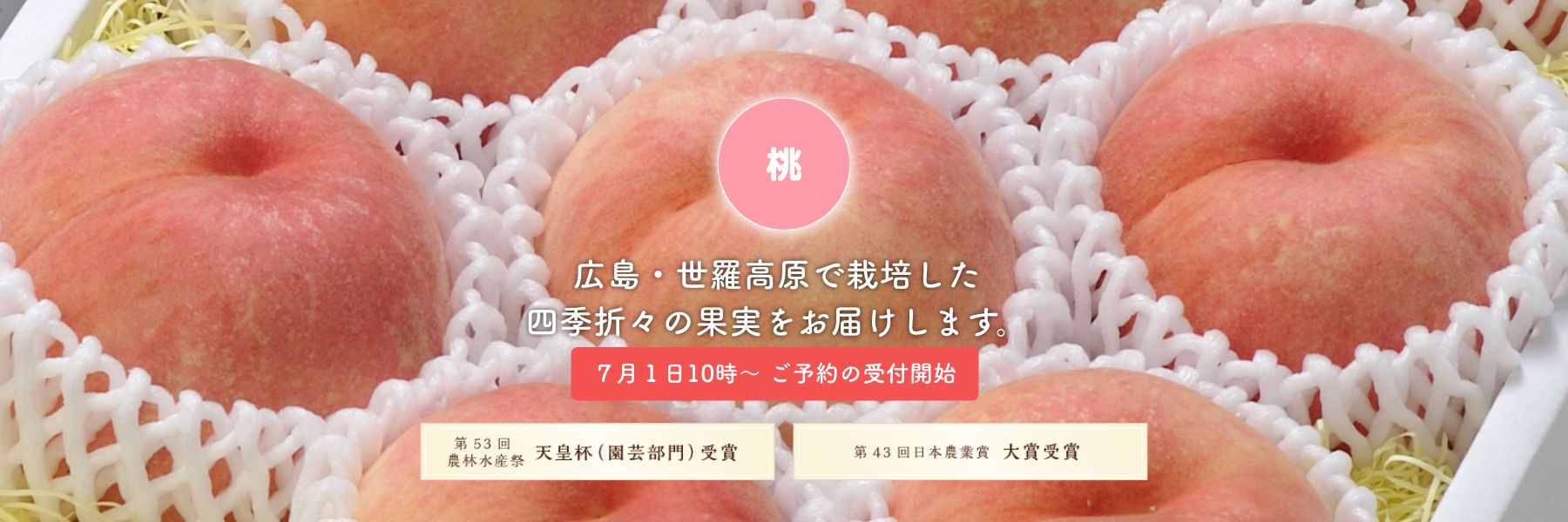 桃 世羅高原で栽培した四季折々の果実をお届けします。