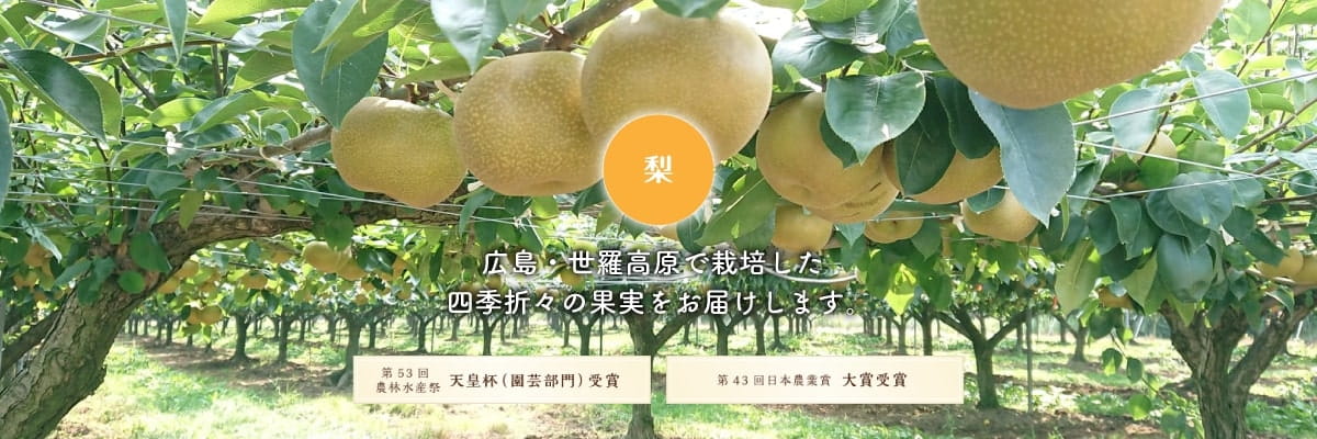梨 世羅高原で栽培した四季折々の果実をお届けします。