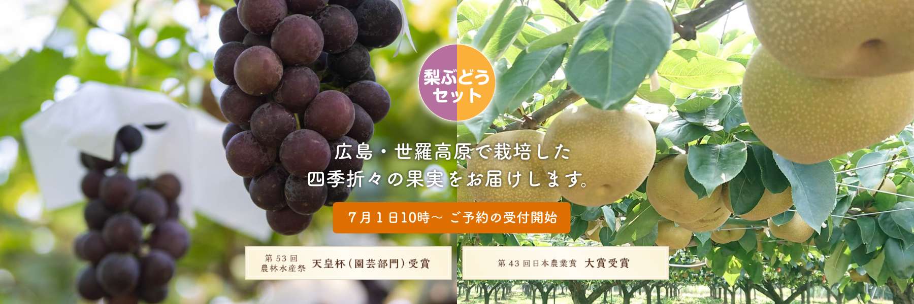 梨 世羅高原で栽培した四季折々の果実をお届けします。