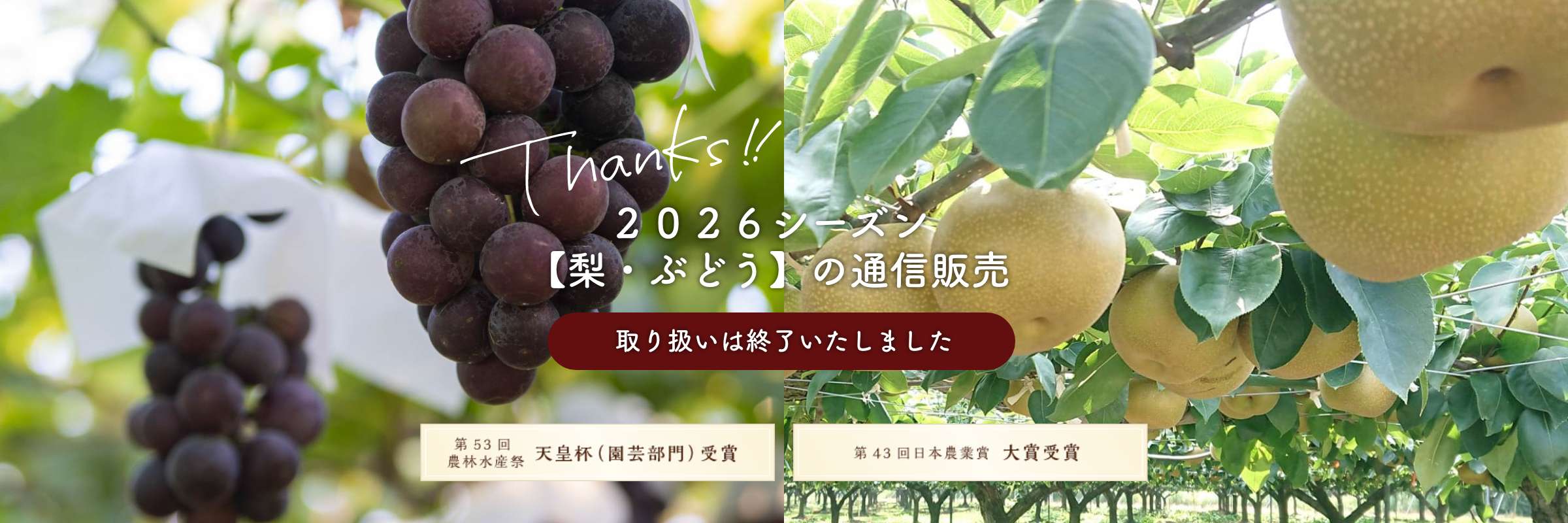 ２０２６シーズン【梨・ぶどう】の通信販売取り扱いは終了いたしました