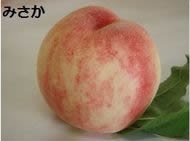 みさか