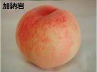 加納岩