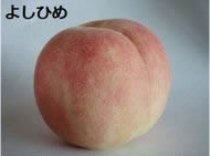 よしひめ