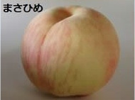 まさひめ
