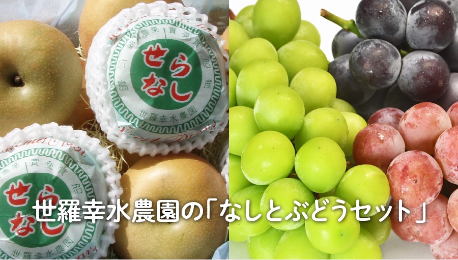 世羅幸水農園の「梨ぶどうセット(贈答・自宅用)」